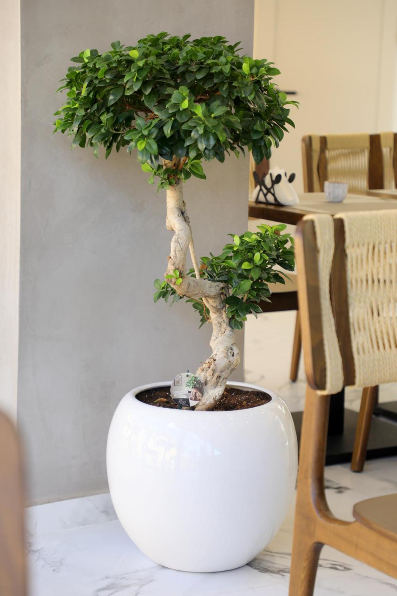 Niklas Boutique Hotel Sarande Exterior photo